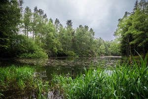 VR电竞初露锋芒：沉浸式体验，能否成为未来游戏的新蓝海
