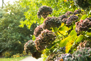 OMG！电竞大神陨落，国际排名一夜之间跌出前十！