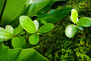 偶像的力量！费德勒的优雅，不只在网球，更在永不放弃的精神！