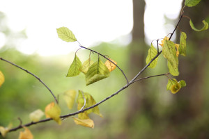 聚焦！乒坛巨星回忆录曝光，昔日辉煌铸就今日传奇